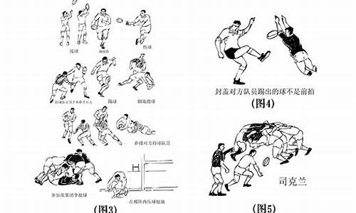 7人橄榄球规则介绍,7人橄榄球规则