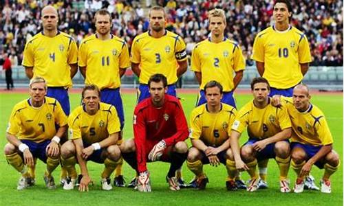 2016欧洲杯瑞典大名单,2016年欧洲杯瑞典队